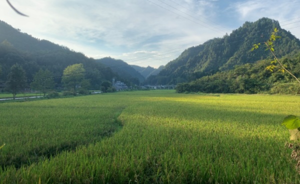 1673922754699051.jpg 3.jpg